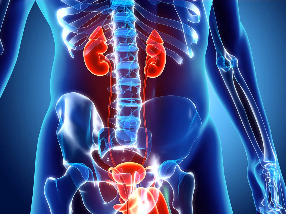 Urology department at LuQman International Hospital